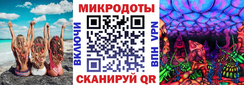 Купить  Болохово  Галлюциногенные грибы MAGIC MUSHROOMS 
